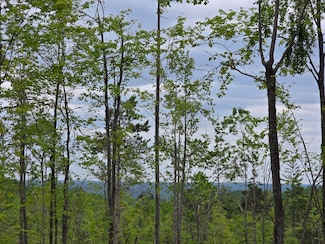 0 S Mt Tom Rd Unit 201835290, Mio, MI 48647