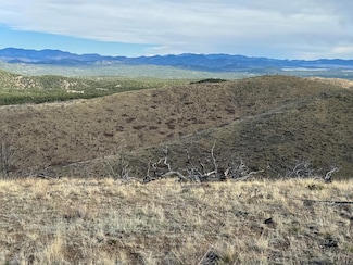 TR39 &67 H Path, Cotopaxi, CO 81223