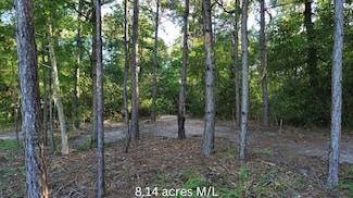 0 Fannie Carrell Rd, Lufkin, TX 75901