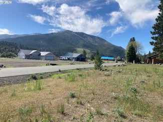 0 Elkview Dr Unit 24441871, Canyon City, OR 97820