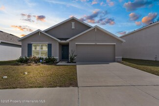 7552 Gardner St, Weeki Wachee, FL 34613