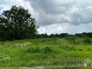 13061 La Hwy 73, Geismar, LA 70734