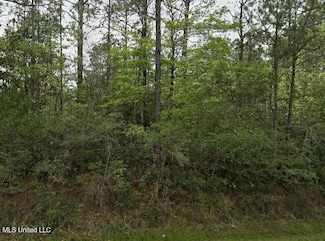 0 Firetower Rd, Pass Christian, MS 39571