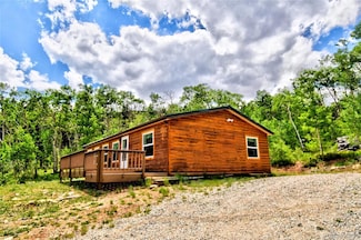 605 Lamb Mountain Rd, Fairplay, CO 80440