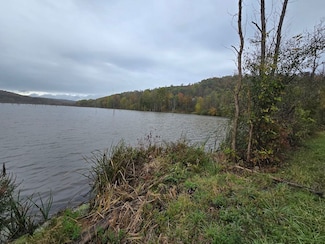 0WP Red Mill Rd Lot Unit WP001, Onondaga, NY 13120
