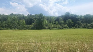 LOT 3 Co Rte 91, Ellisburg, NY 13636