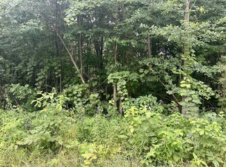 0 108th Unit 22031967, Pullman, MI 49450