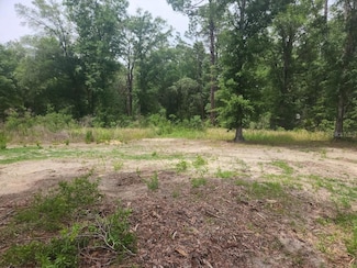 Lot 10 SW 134th Terrace, Ocala, FL 34481