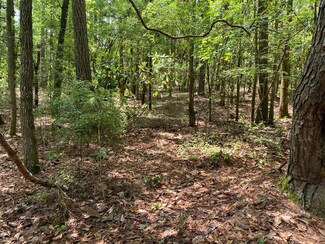 0 Waters St, Abbeville, AL 36310