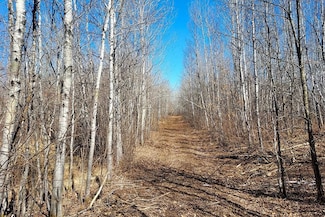 0 County Road Y, Tomahawk, WI 54487
