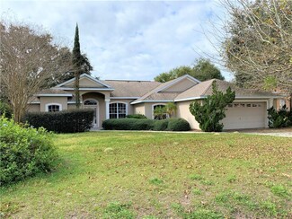 36419 Grand Island Oaks Cir, Grand Island, FL 32735