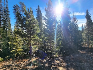 1400 Bobcat Ln, Fairplay, CO 80440