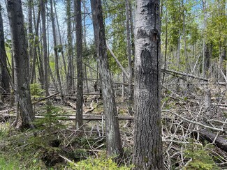 58 Rocky Rd, Bois Blanc Township, MI 49775
