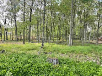 TBD West St, Reedsville, WV 26547