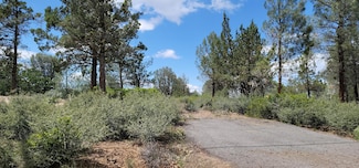 Lot 11 Cassel Fall River Rd, Fall River Mills, CA 96028