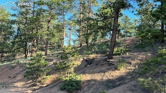 19 Ranch Rd, Sedalia, CO 80135