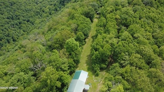 1336 Caldwell Ridge Trail, Renovo, PA 17764