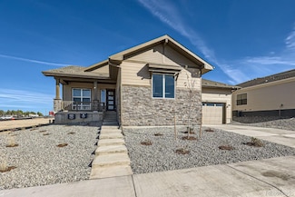 492 Agoseris Way, Castle Rock, CO 80104