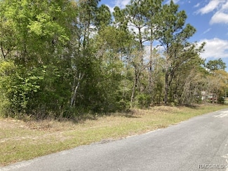 9573 N Travis Dr, Citrus Springs, FL 34434