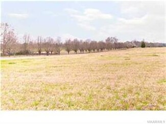 1344 Claud Rd, Eclectic, AL 36024