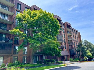 111 Acacia Dr Unit 312, Indian Head Park, IL 60525