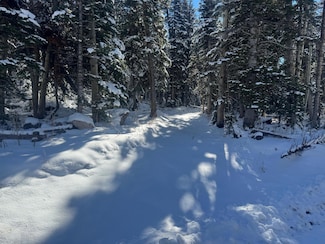 0 Falcon Ct Unit CBME unit c lots 68, Brian Head, UT 84719