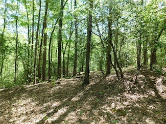 250 Cliffs Falls Pkwy, Salem, SC 29676