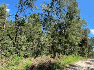 Vacant Withlacoochee Shores Ln, Lee, FL 32059