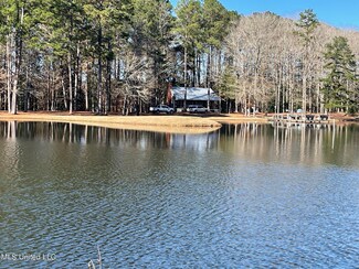 1547 Old Pearl Rd, Florence, MS 39073
