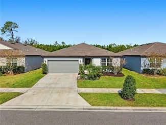 30177 Merilee Place, Wesley Chapel, FL 33545