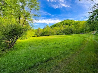 273 Wildflower Ln, Palestine, WV 26160
