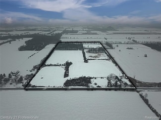 16390 Dryden Rd, Allenton, MI 48002