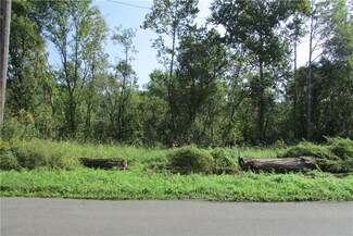 Lot 1 River Rd, Taylor Township, PA 16160