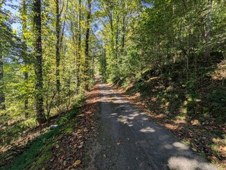 TBD Cypress St, Vansant, VA 24631