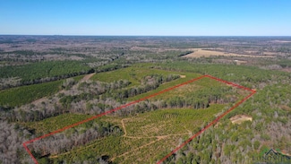 0001 County Road 1115 Unit Tract 1, Atlanta, TX 75551