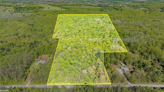 Vacant Emerson Rd, Wales Township, MI 48027