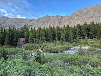 2885 Stevens Gulch Rd, Silver Plume, CO 80476