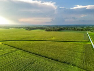 000 N 525th Rd-51 91-Acers, Colchester, IL 62367