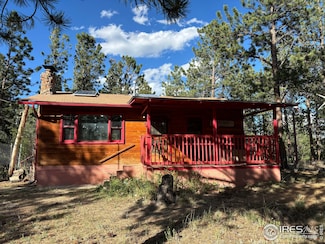 264 Harris St Unit 1, Bailey, CO 80421