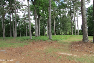 0 Jasmine Ct, Clinton, NC 28328