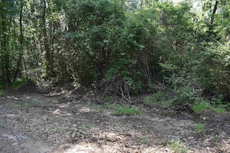 TBD Lot 10 3 Points Dr, Berryville, TX 75763