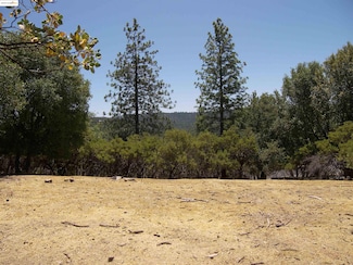 12065 Alcan Ct, Groveland, CA 95321