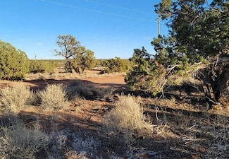 3972 Apache Rd, Snowflake, AZ 85937