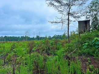 TBD Indian Ln, Other, NY 11111