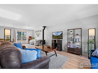 477 Horseshoe Place, Nederland, CO 80466