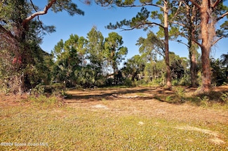 0000 S Tropical Trail, Merritt Island, FL 32952