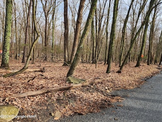 0 Pa Route 55 - Schoolhouse Rd, East Stroudsburg, PA 18302