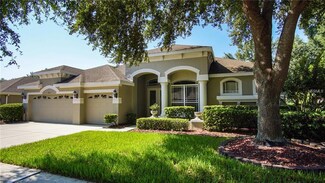 2033 Wexford Green Dr, Valrico, FL 33594