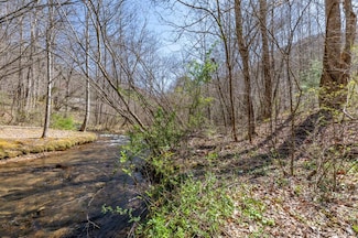 Lots 12+ Tusquittee St, Hayesville, NC 28904
