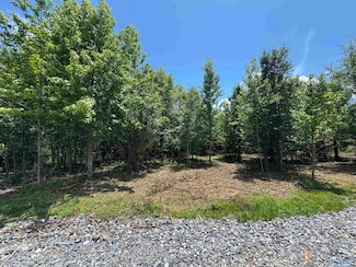 1 Razorback Way, Albertville, AL 35951